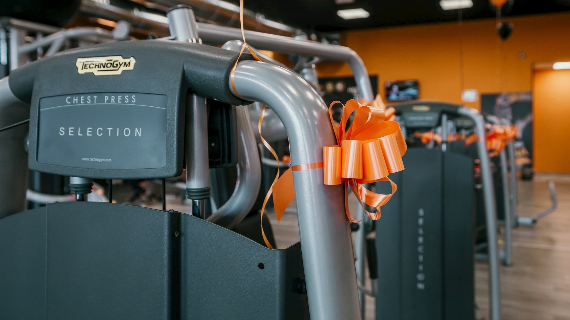 FitActive Alessandria