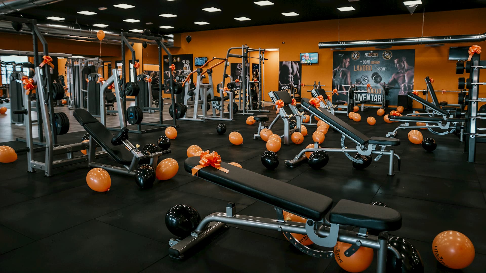 FitActive Alessandria