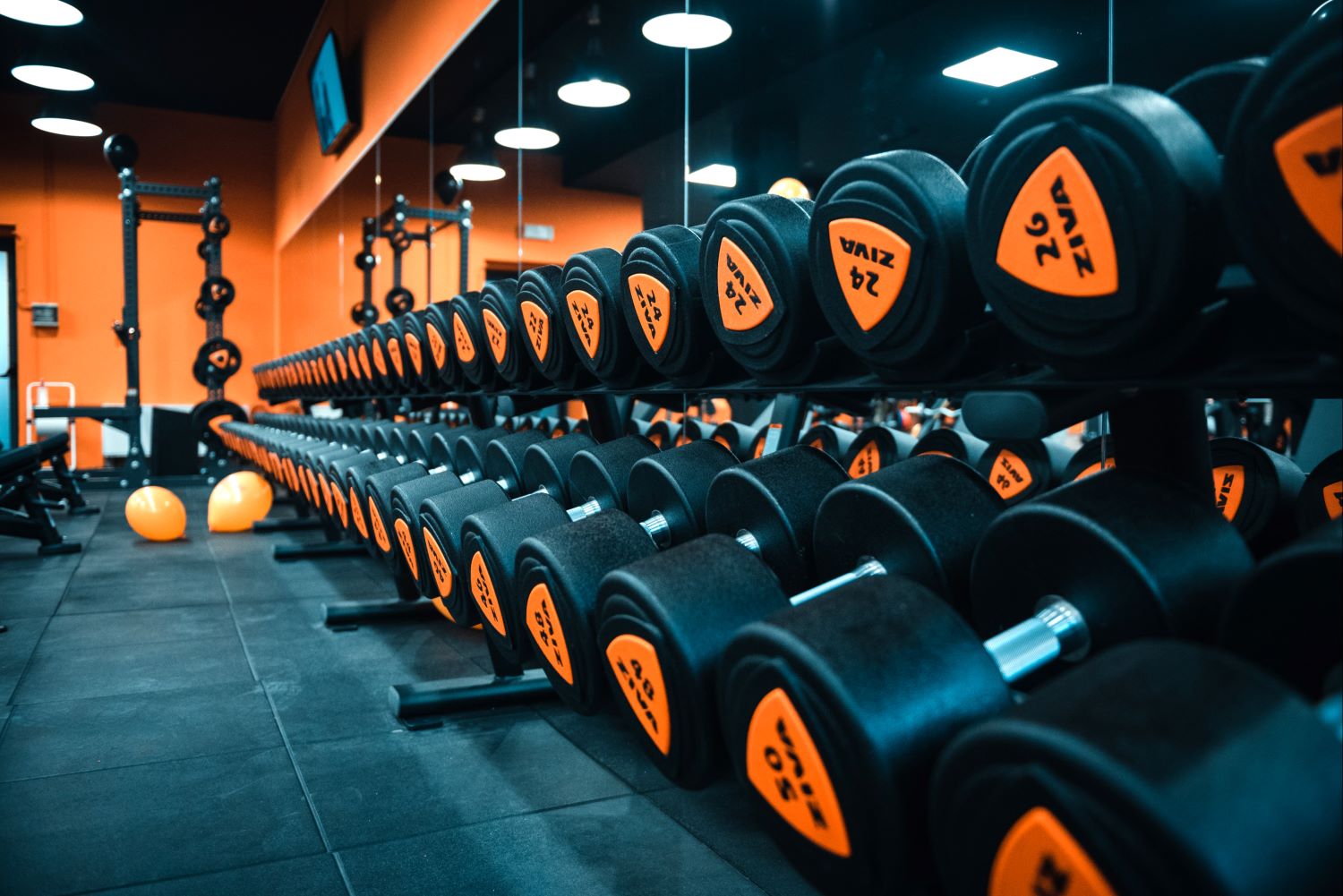 FitActive Carugate