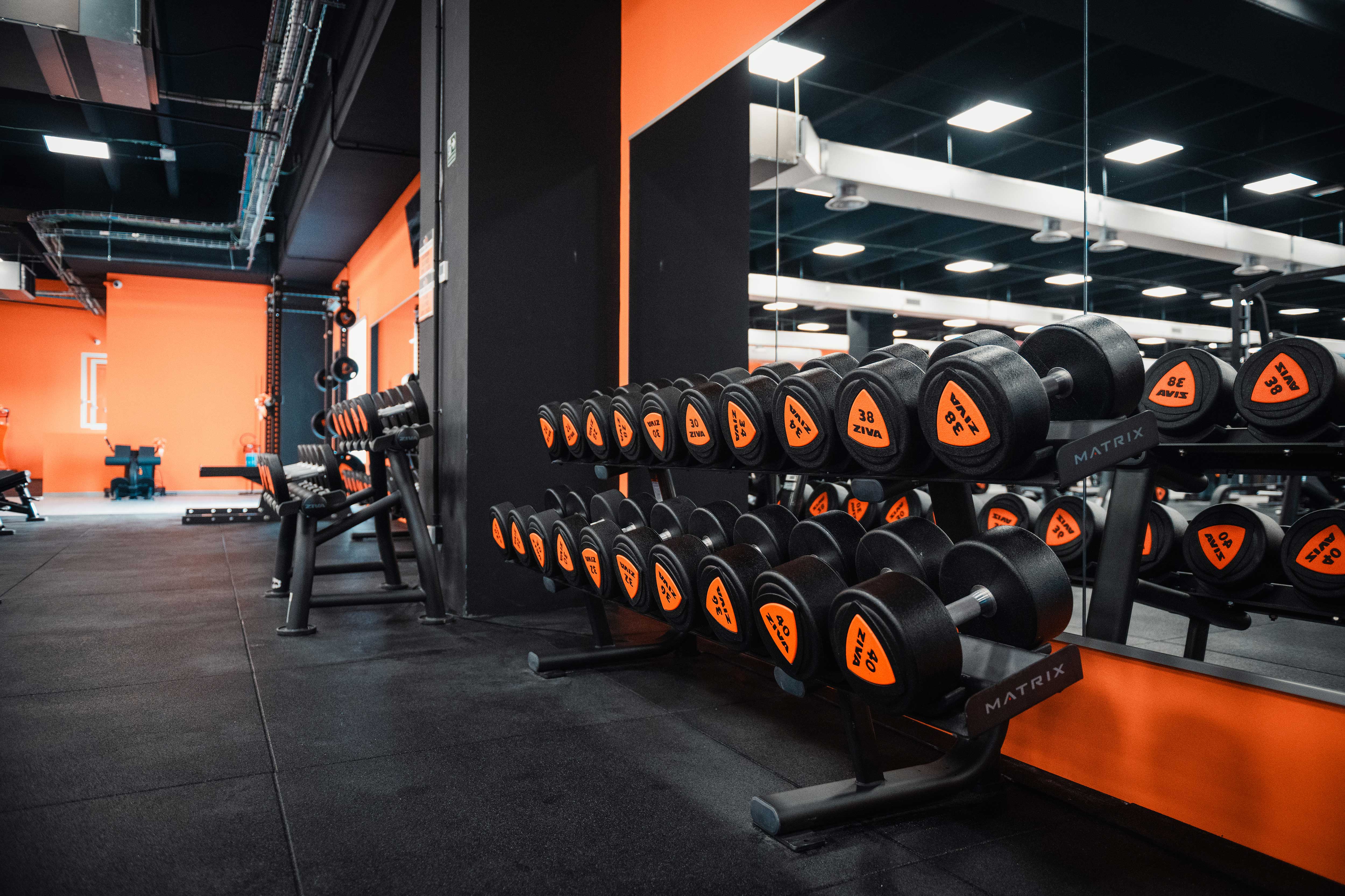 FitActive Cremona