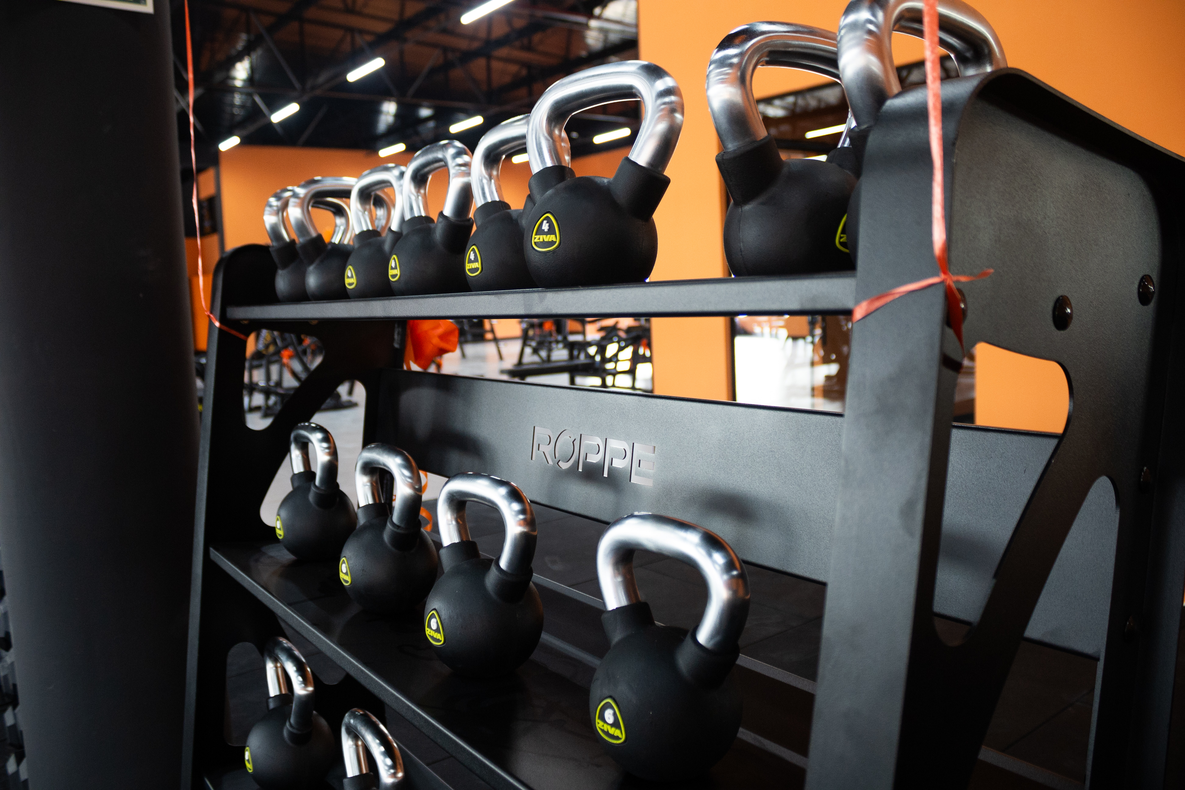FitActive Curitiba