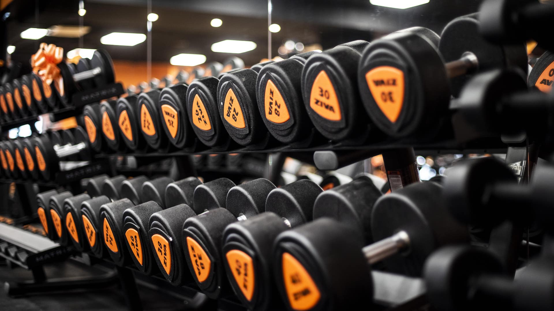 FitActive Pavia
