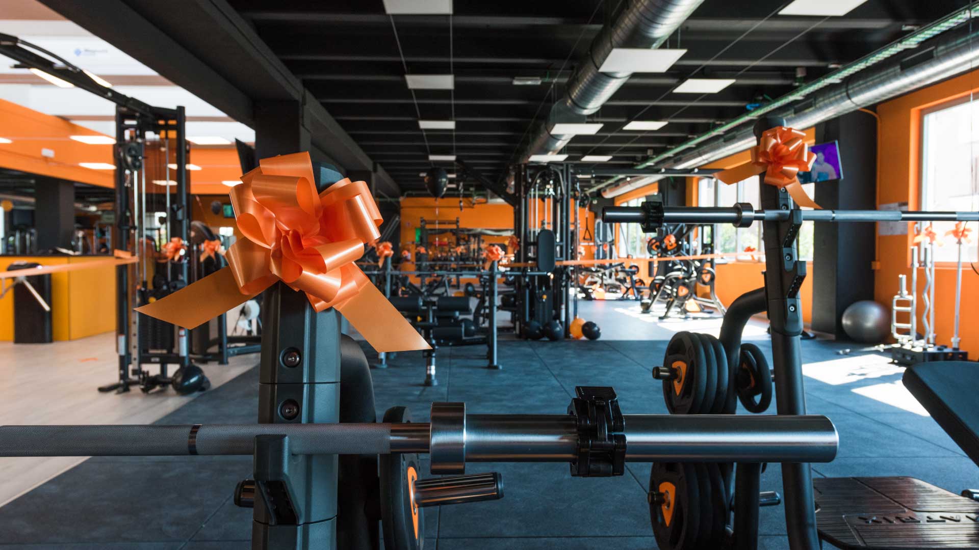 FitActive Reggio Emilia