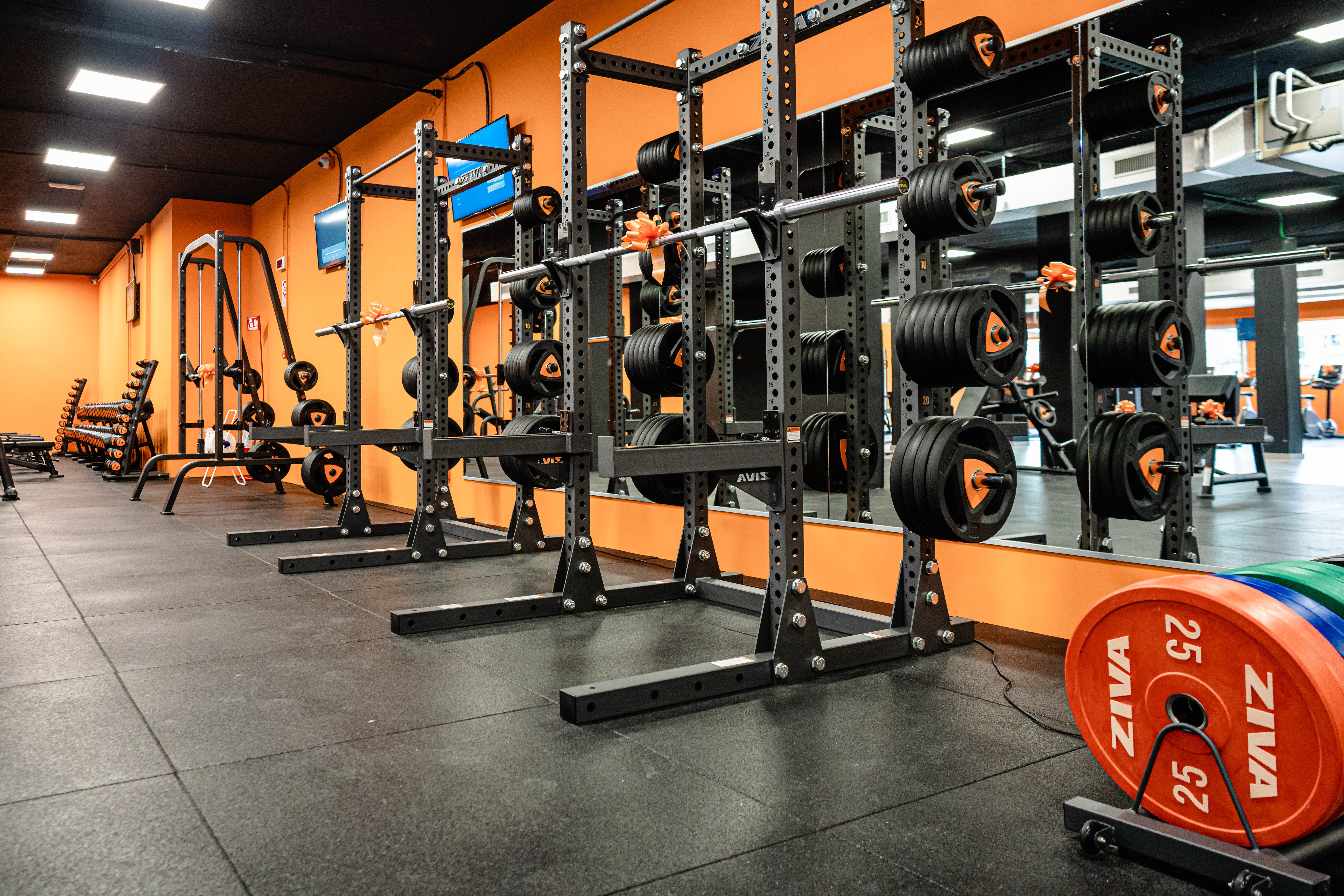 FitActive Roma Pisana