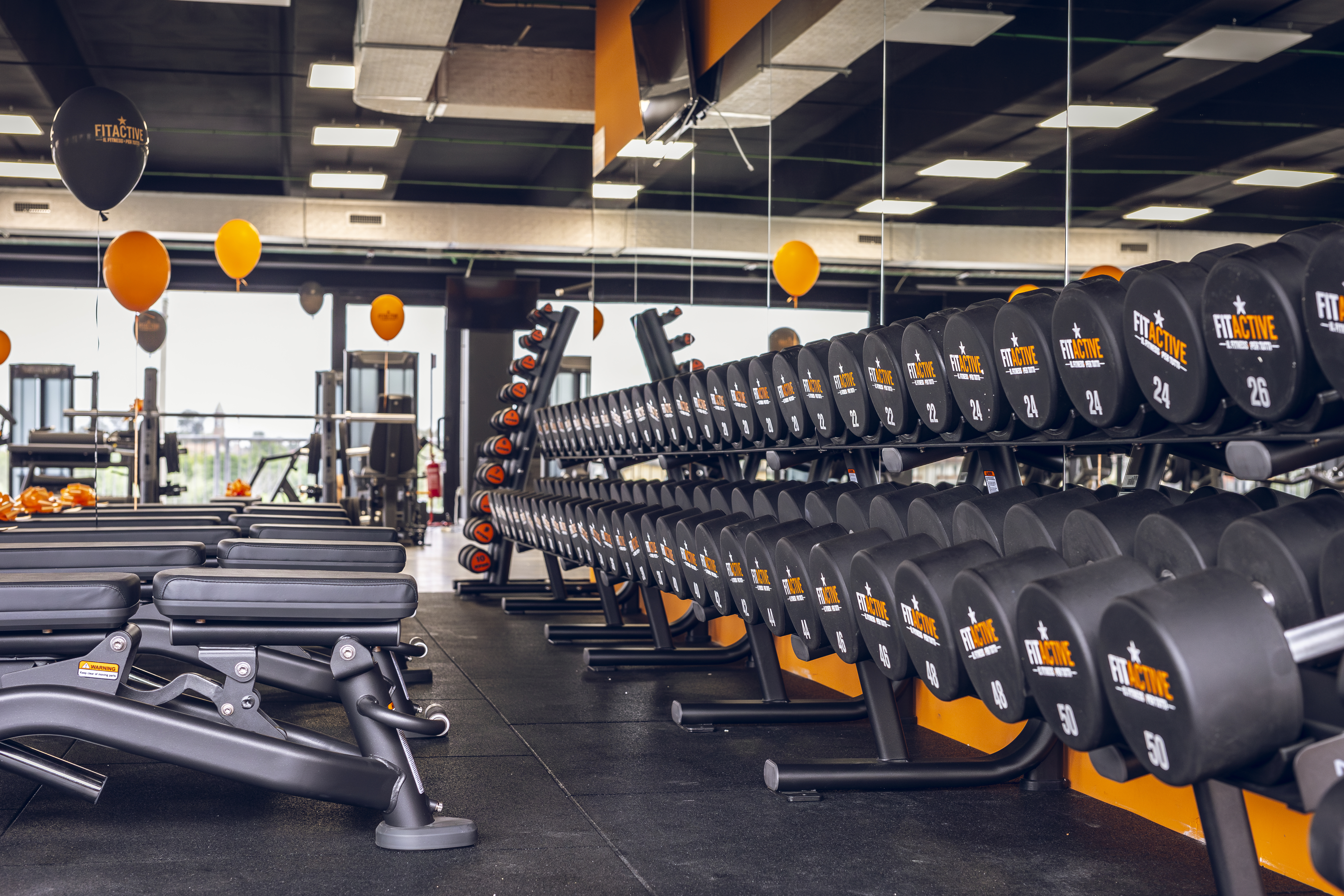FitActive Rovigo