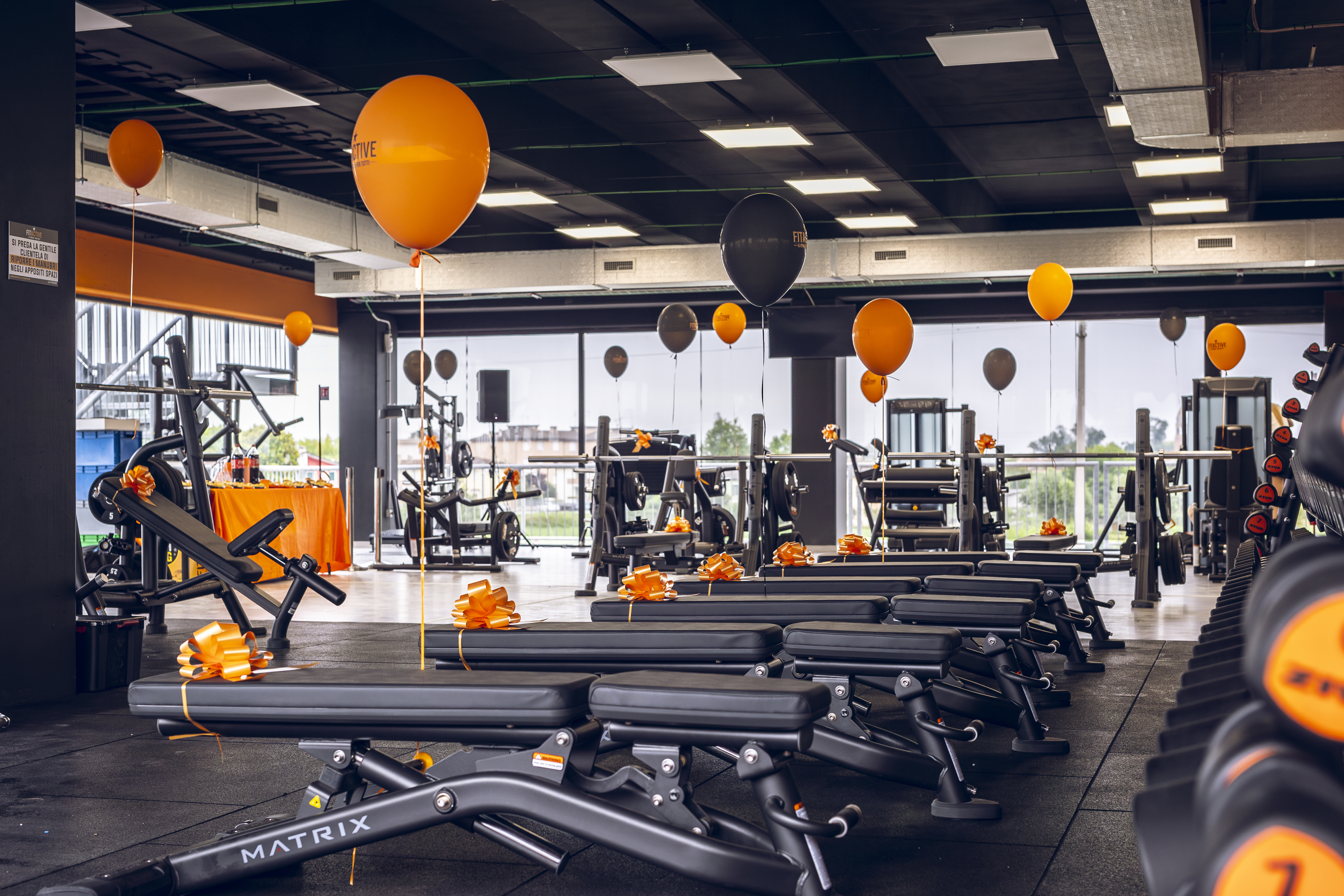 FitActive Rovigo