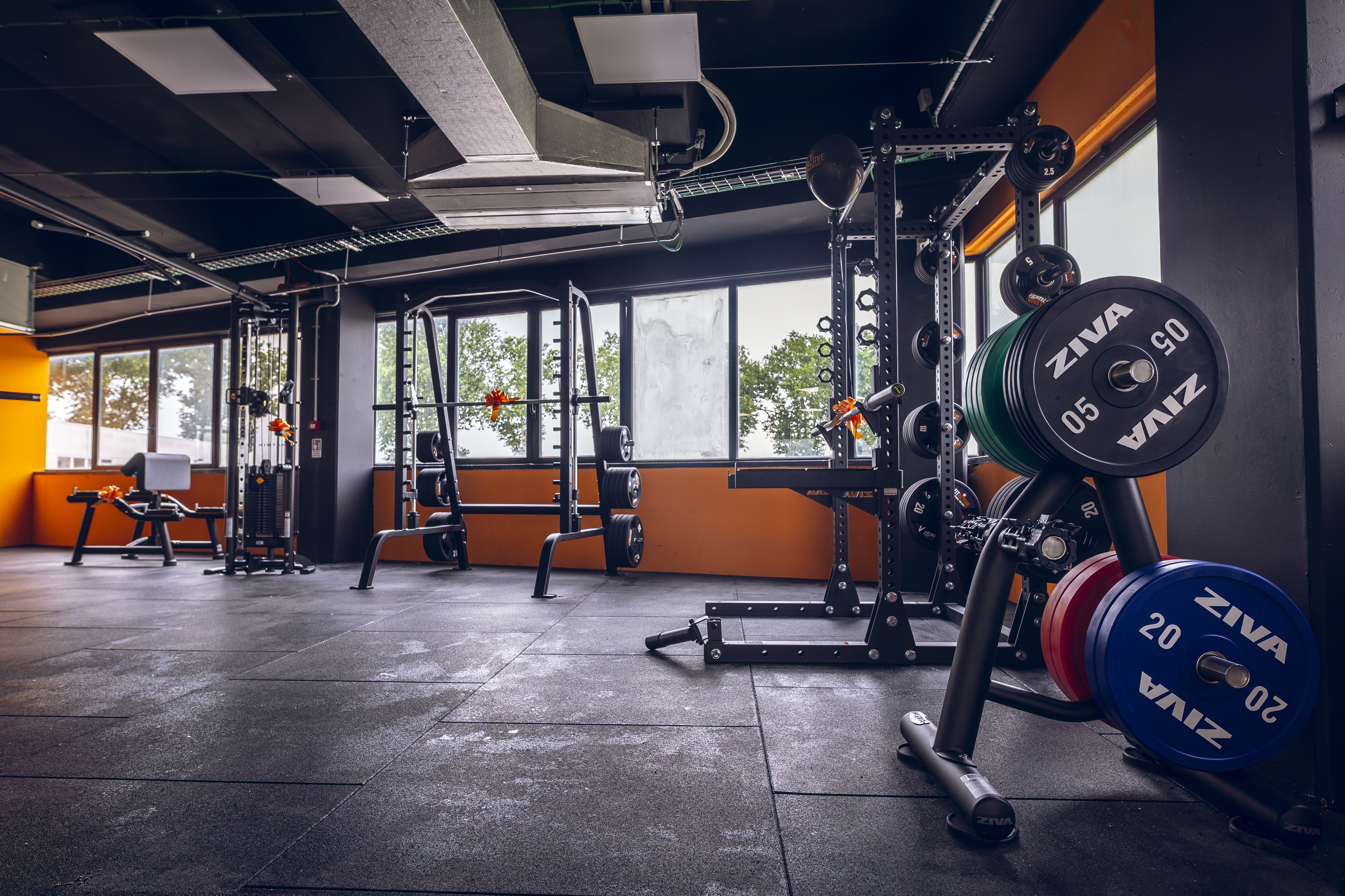 FitActive Rovigo