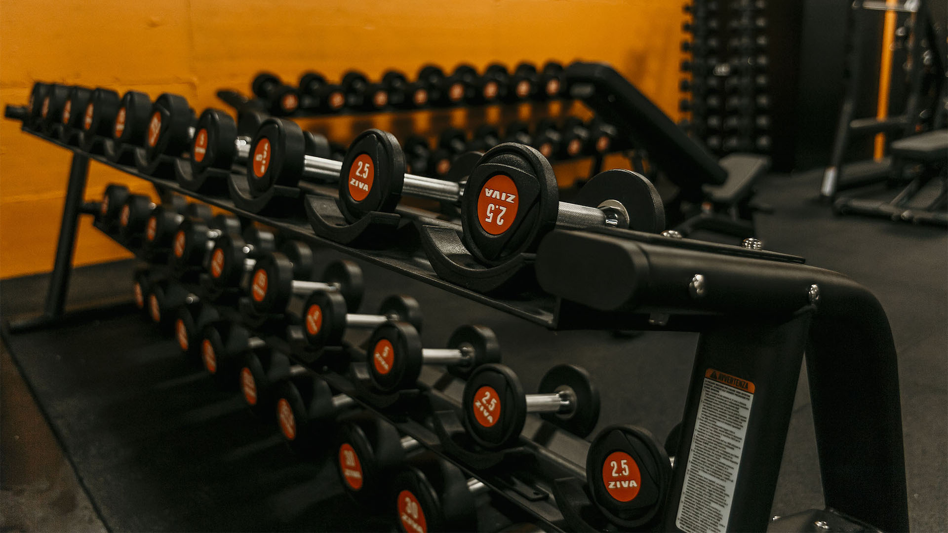 FitActive Savona