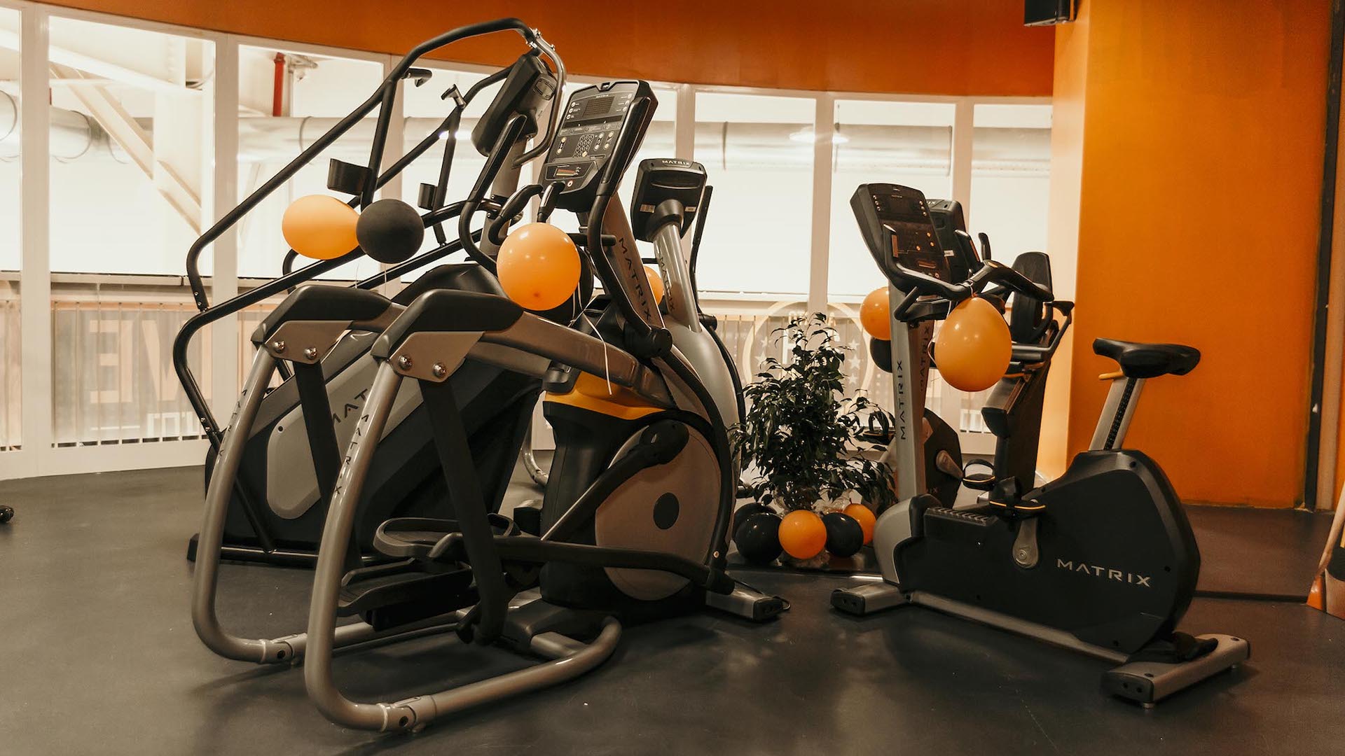 FitActive Savona