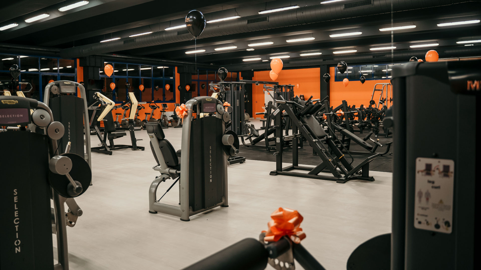 FitActive Settimo Torinese 