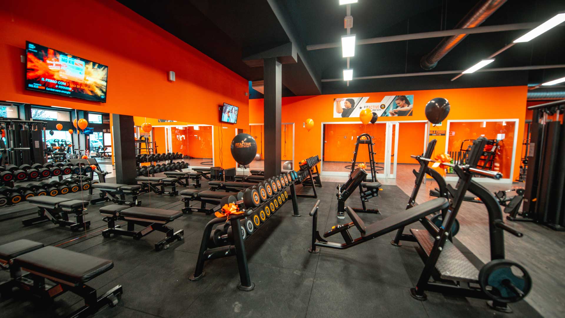 FitActive Torino Bruno