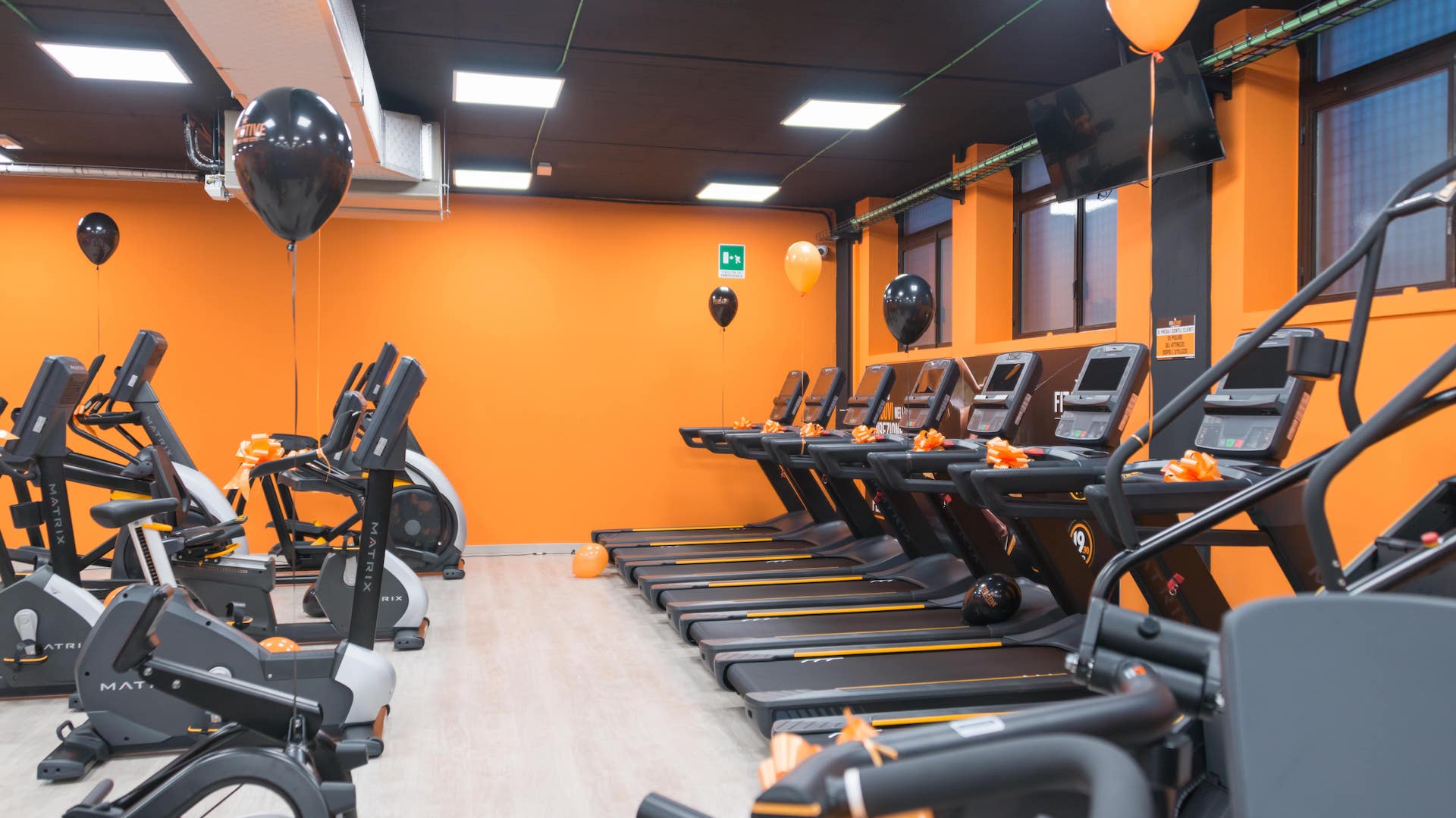 FitActive Venaria