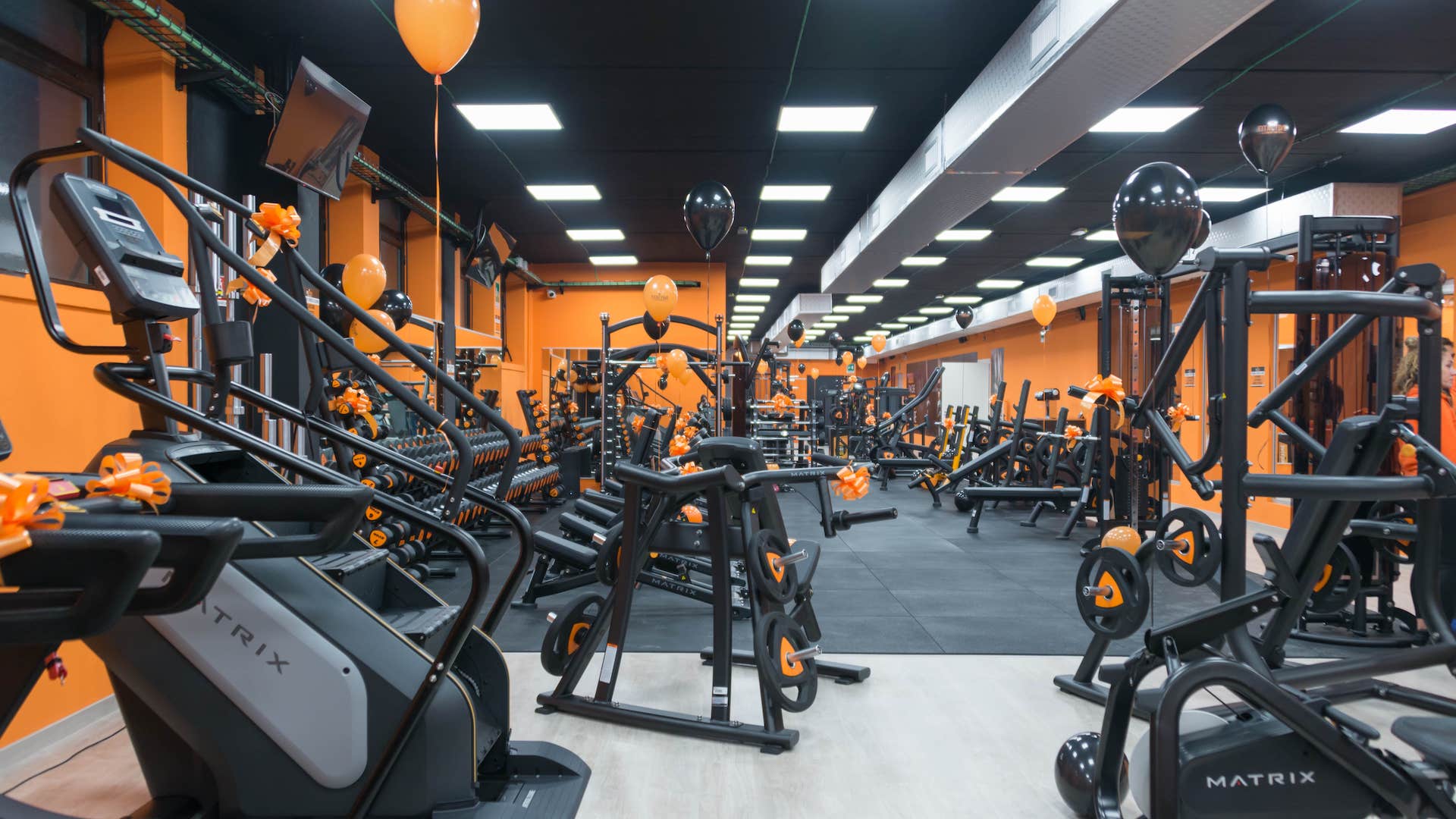 FitActive Venaria