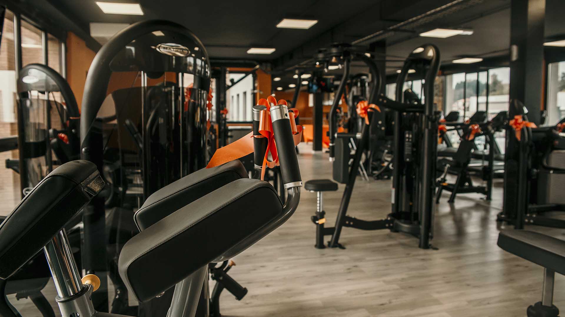 FitActive Vertemate