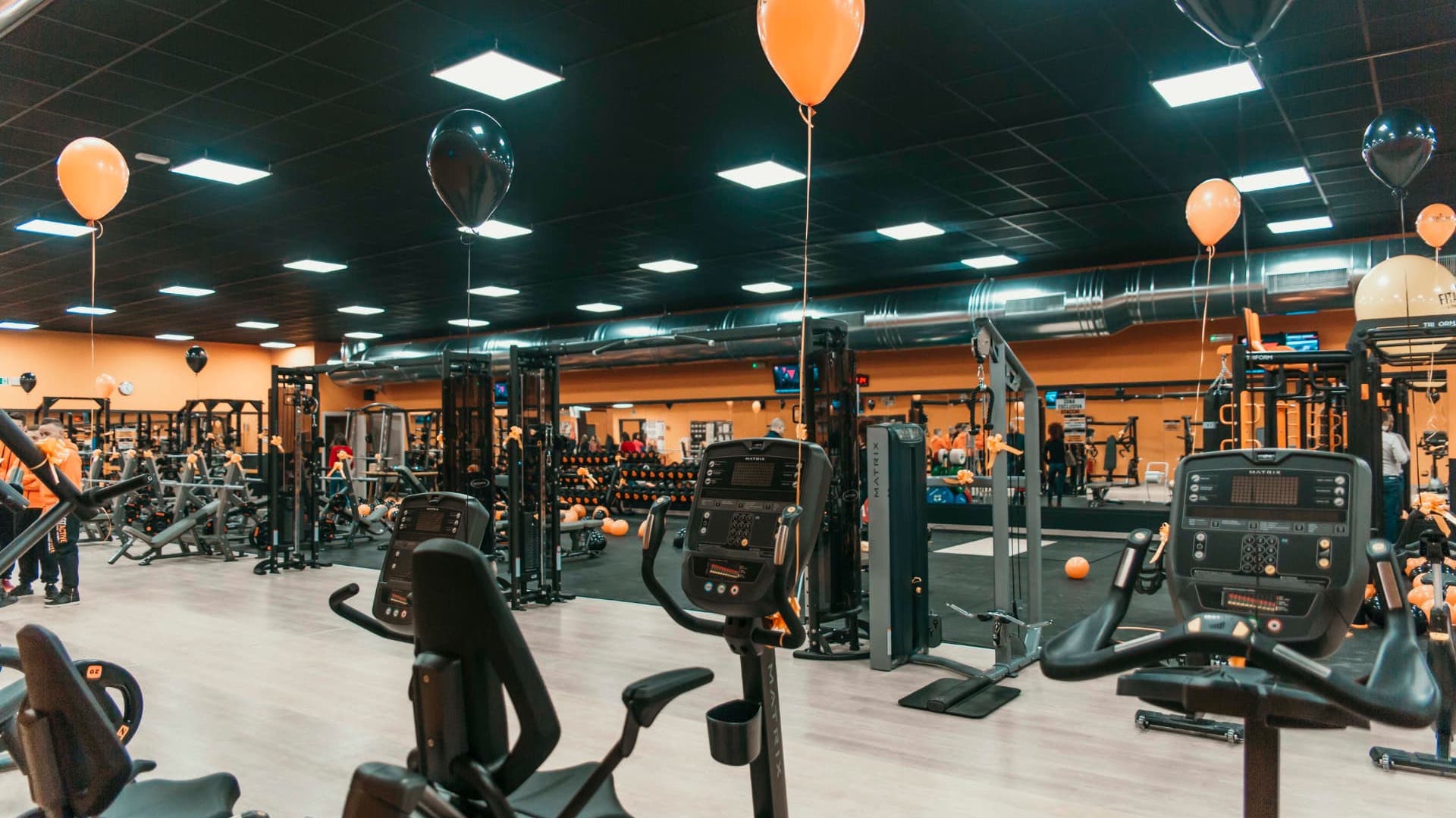 FitActive Zibido